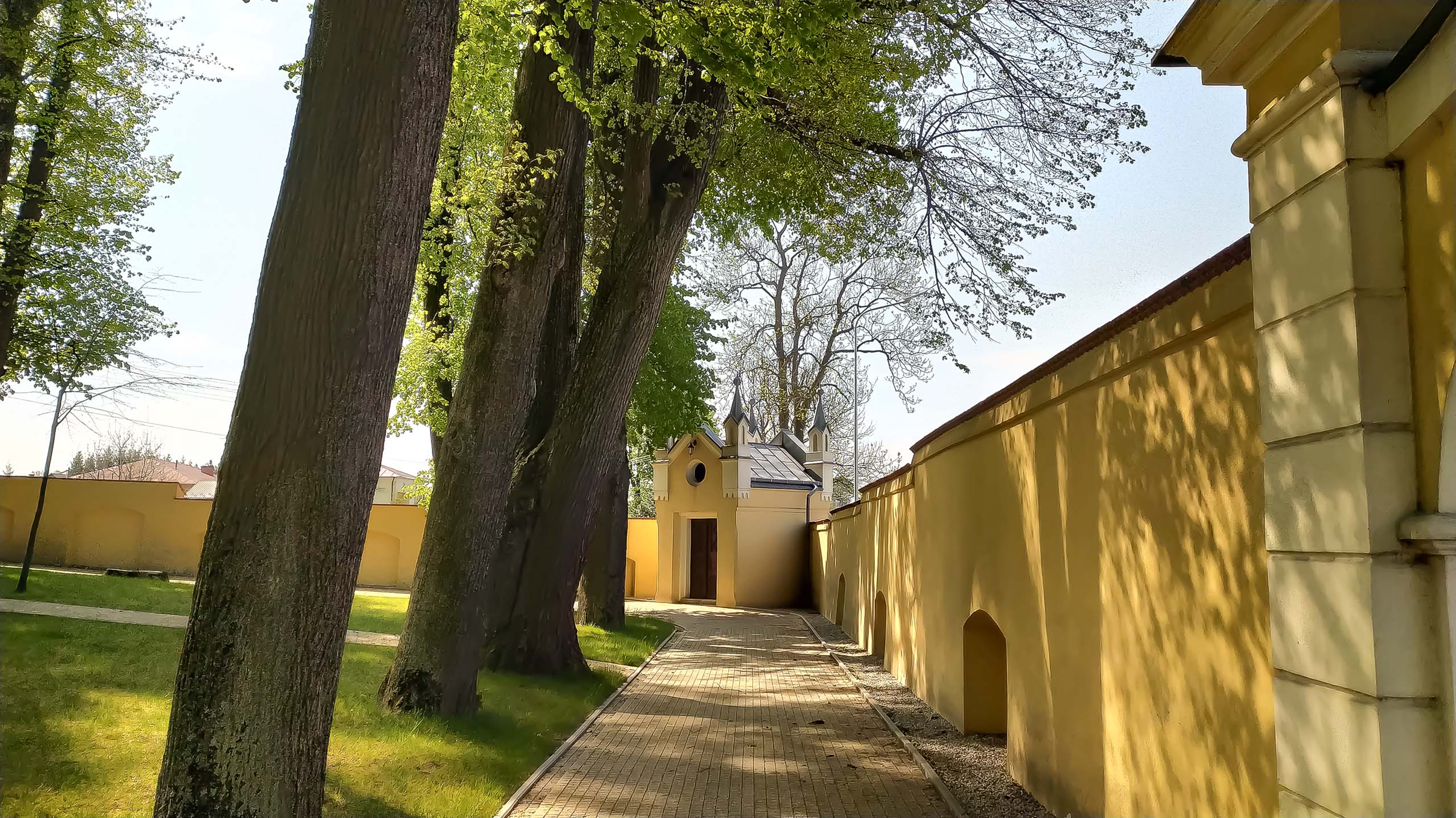 IMG 20200510 100345 kopia